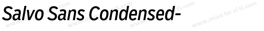 Salvo Sans Condensed字体转换